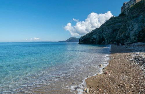 La Cartomante di Bonaparte - Foto 4