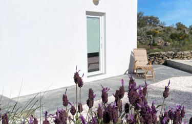 Vale Penedo - Foto 5