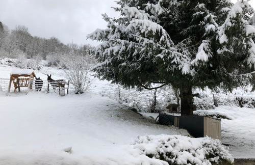 La remise du Murgé - Foto 31