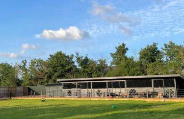 Willow Court Farm-Studio North & Petting Farm, 8 mins from Legoland & Windsor, 15 mins from Lapland UK - Photo 32