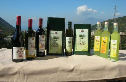 Casa Scola Agriturismo - Foto 42