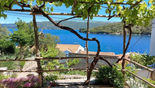 Apartman Krivičić - Photo 4