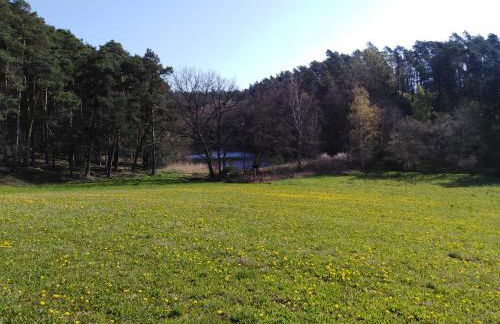 Wolfsmühle - Foto 52