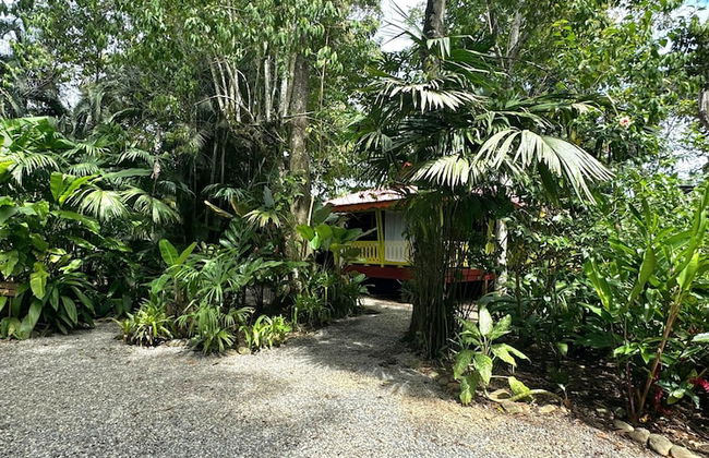 El Jardin de Playa Negra - Foto 80