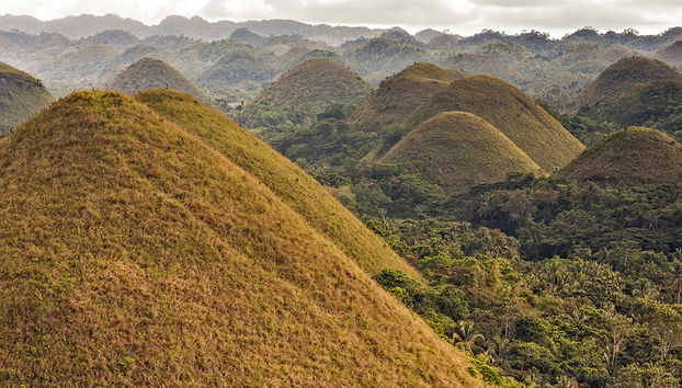 Visite des Chocolate Hills et rencontre avec les Tarsiers - Privé - Photo 2