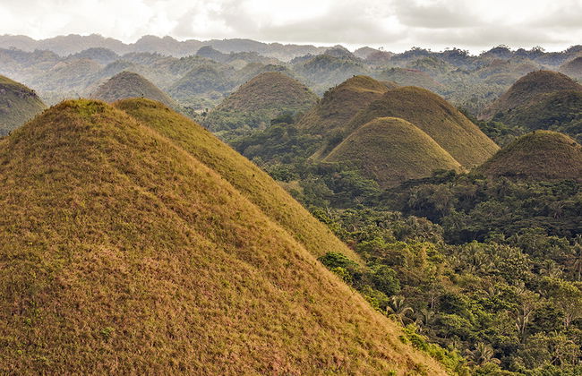 Visite des Chocolate Hills et rencontre avec les Tarsiers - Privé - Photo 2