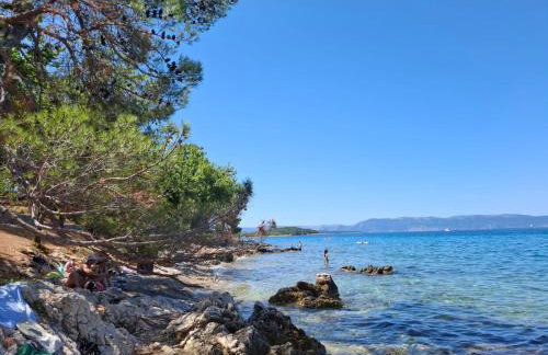 FoREST Heritage Apartment - Foto 62