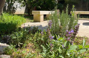 La Corte di Zia Lucia - vicino Ospedale Panico - Cammino del Salento - Foto 12