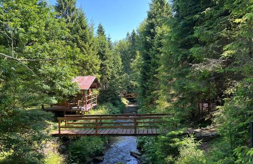 Forest House- dom nad górskim potokiem - Foto 19