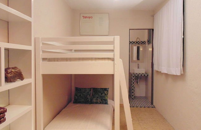 Suites Viveros de Coyoacan - Foto 8