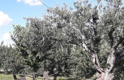 Casa do Feitor - Douro - Quinta da Cabrida - Foto 65