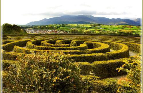 Crotlieve Barn - Photo 59