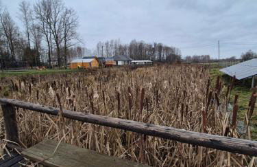 Zawilcowa Dolina - Foto 9