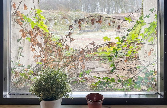 Holiday Home in Hoor With Pool - Foto 7