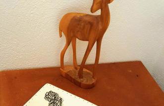 Cosmeahouse App. Durban - Foto 4