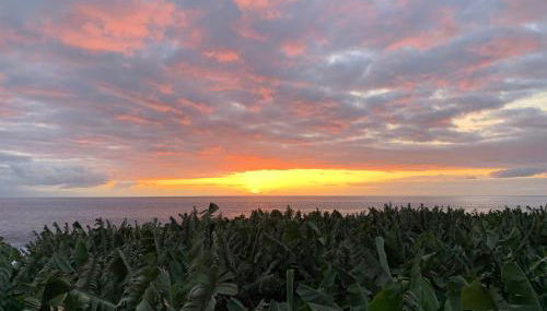 Rooftop Casa El Banco - Foto 2