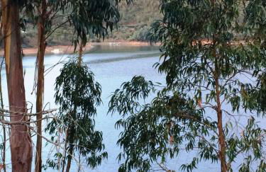 Art`Rio - Casa no Rio em Dornes - Foto 60