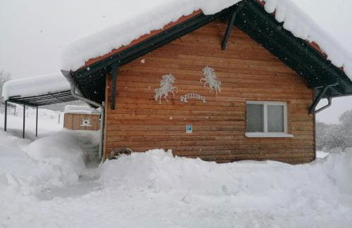 Wild Life Ranch - Foto 35