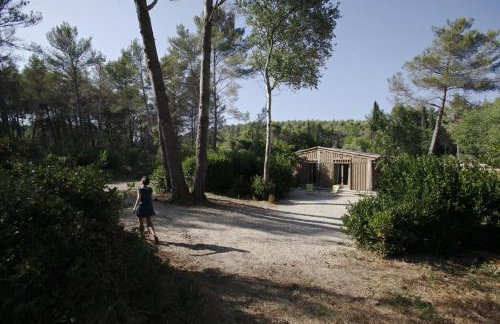 Cabane de la leque - Foto 34