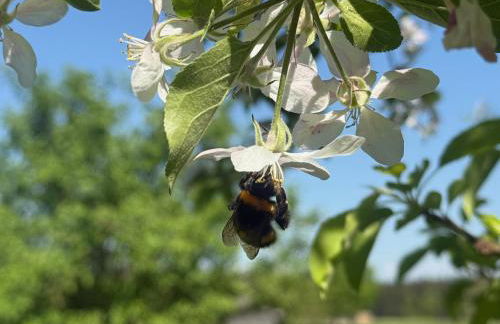 Ferienwohnung Kleines Paradies mit privater Sauna - Foto 39