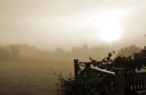 Agroturystyka Izba Pod Kasztanem - Foto 6