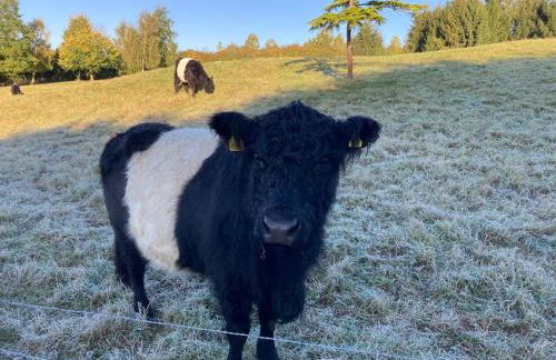 Mill Lodge - Photo 16