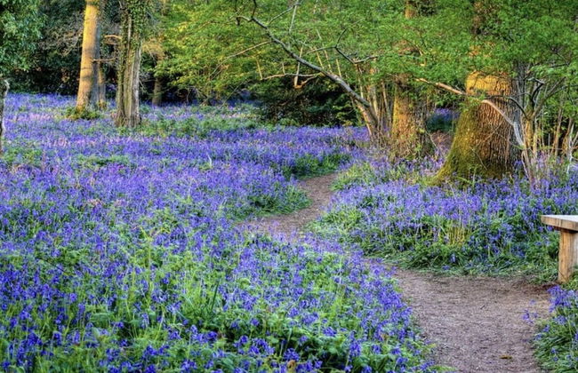 Impeccable 3-bed 17th Century Luxury Cottage - Foto 34