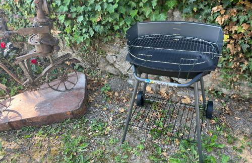 Maison au pied du Château - L’Ange du Château - Photo 40