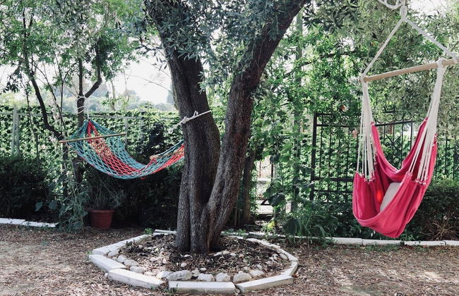 Sea Star Apartments - Foto 27