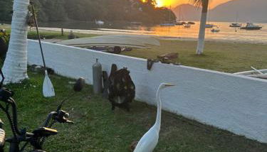 Suitesmr familia - Foto 5