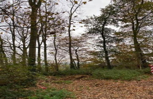 Country House in Poperinge Near WWI Sites - Photo 30