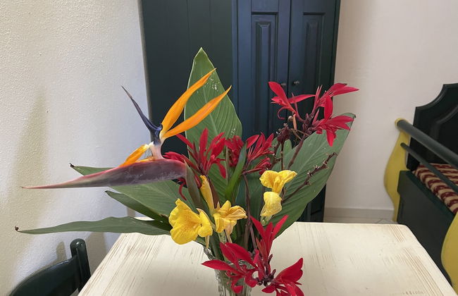 Ala Birdi Residence - Foto 15