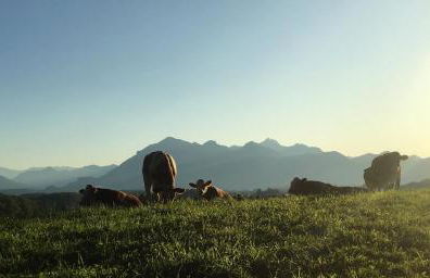 Feichten Glück 16 - Foto 21