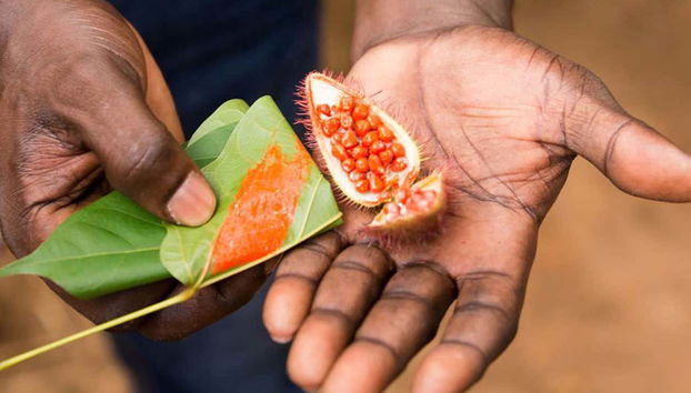 Private Zanzibar Spices Tour - Foto 2