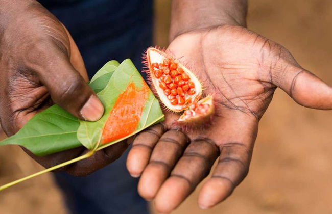 Private Zanzibar Spices Tour - Foto 2