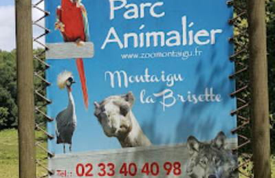 Proche mer, Cour privée et Grand Jardin clos - 2 à 5 personnes - Foto 42