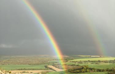 Fresno Vista - Photo 38