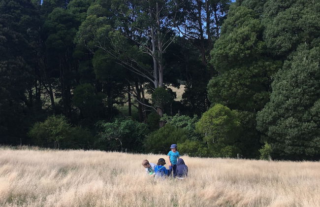 The Source Otways - Foto 21