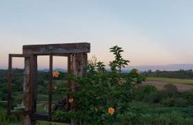 Acomodação do Viveiro Bela Flor - Photo 10