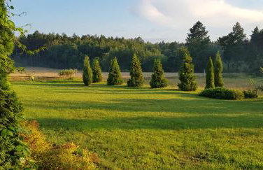 Agroturystyka Lisa Młyn - Foto 35