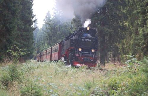 Behagliches Ferienhaus Zaunkönig -mit Kamin und Sauna- Blick über das romantische Bodetal - Foto 28