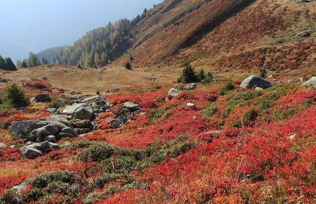 LuxLax 2. OG Süd - Foto 34