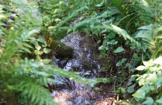 Ferienwohnung Andermann - Foto 26