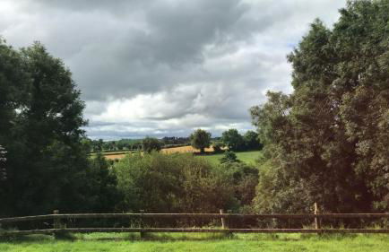 Minnie’s Cottage - Foto 17