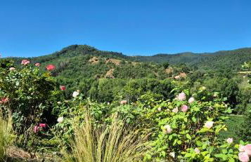 Maison Crouzande - Foto 38