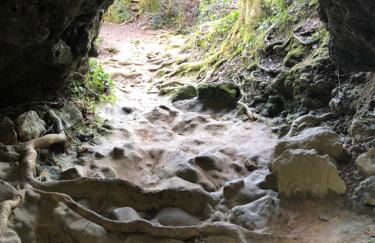 Gîte Tanagra : Maison avec piscine et vue exceptionnelle - Foto 53