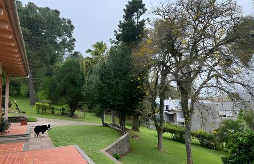 Casa 4 suíte, piscina interna em Pinto Bandeira - Foto 12