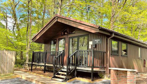 Snowdrop 10-Hot Tub-Woodlandlodges-St Clears-Pembrokeshire - Foto 3