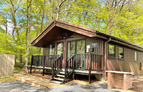 Snowdrop 10-Hot Tub-Woodlandlodges-St Clears-Pembrokeshire - Foto 3