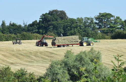 The White House Garden Cottage - Foto 21